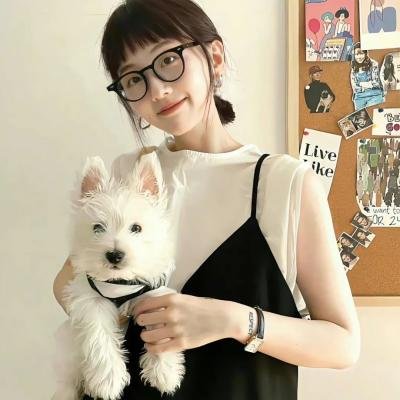 东游之白狐传